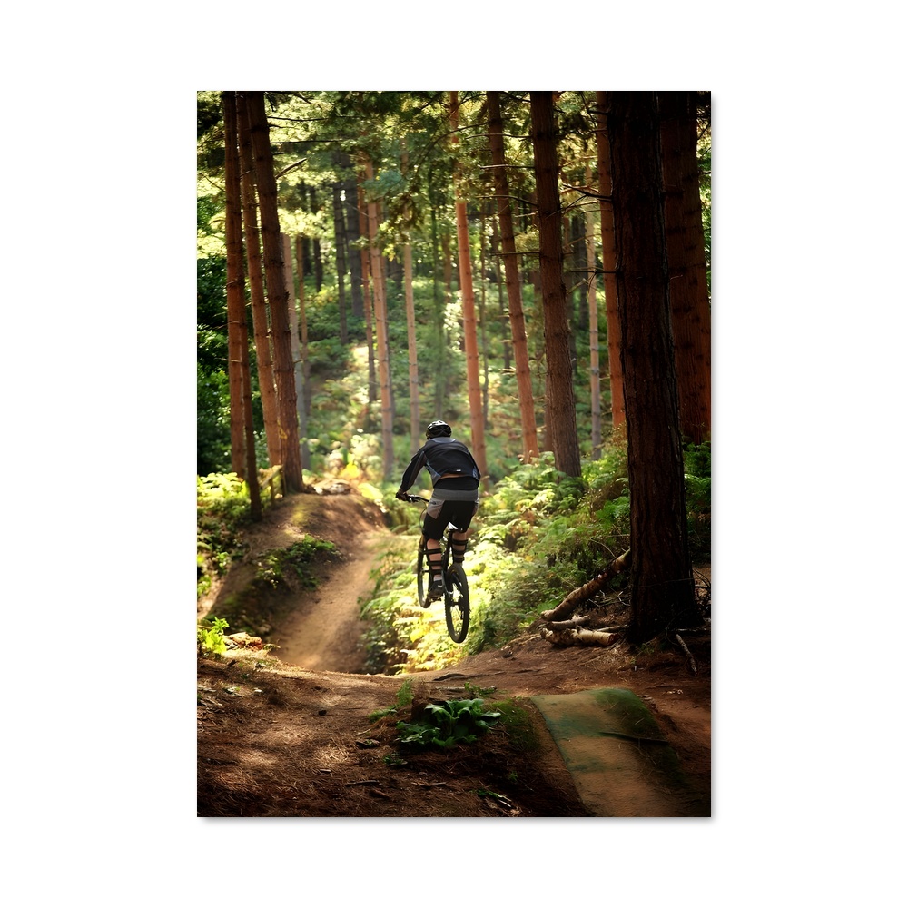 Poster Riders of the Wild